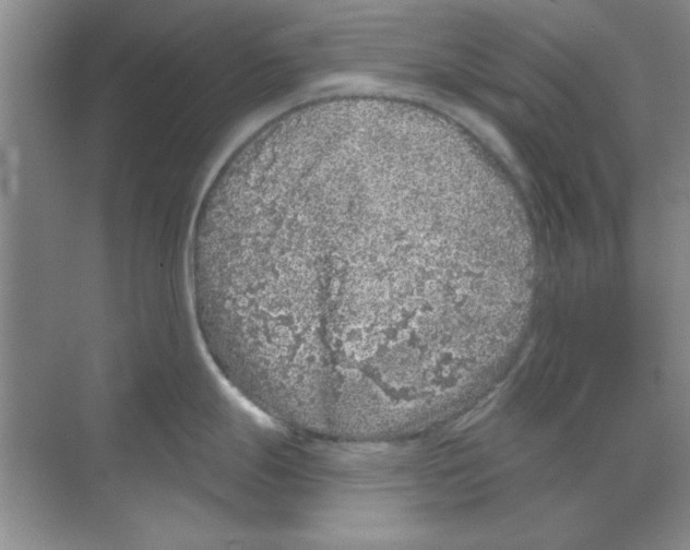 X0000068721247200605192245