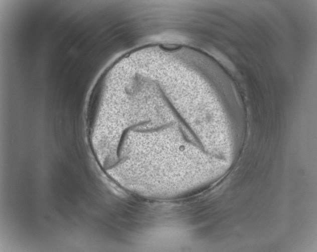 X0000068721248200605192245