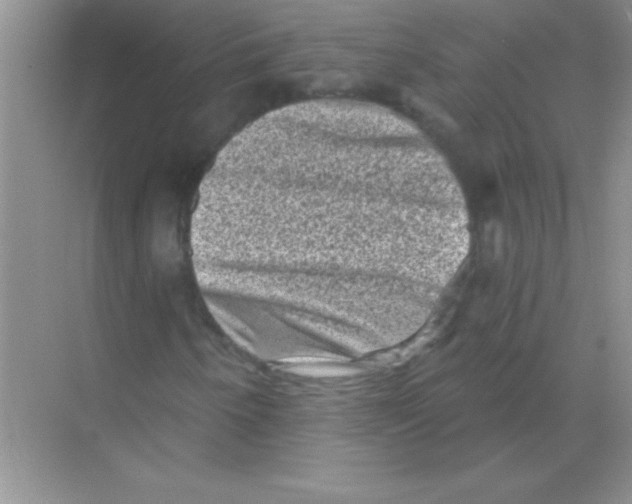 X0000068721250200605192244