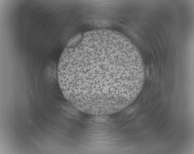 X0000068721251200605192244