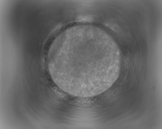 X0000068721254200605192244