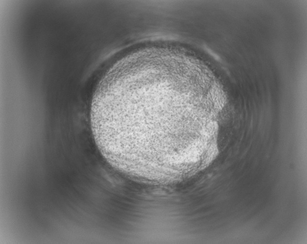 X0000068721255200605192244