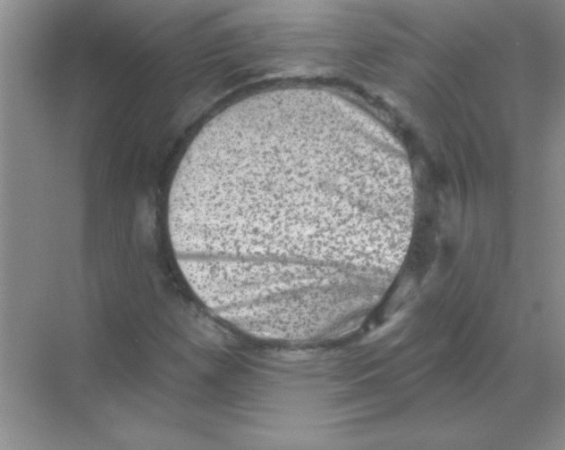 X0000068721257200605192244