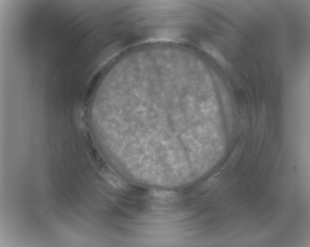 X0000068721258200605192244