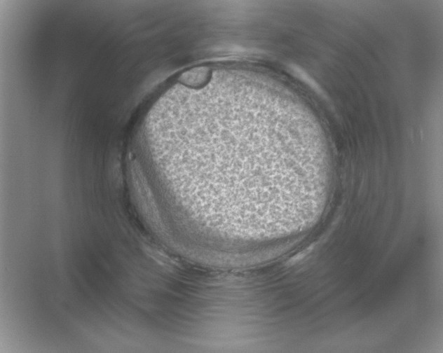 X0000068721259200605192244