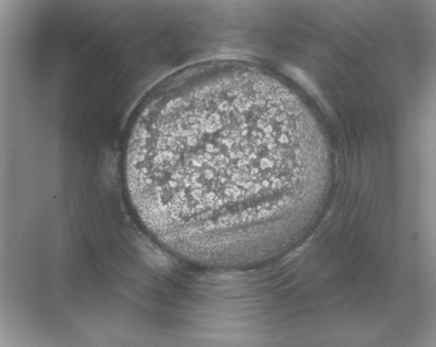 X0000068721260200605192244