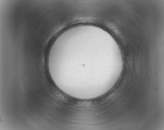 X0000068721261200605192244