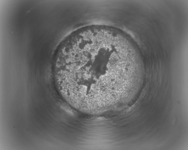 X0000068721263200605192244