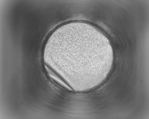 X0000068721264200605192244