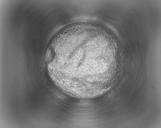 X0000068721267200605192244