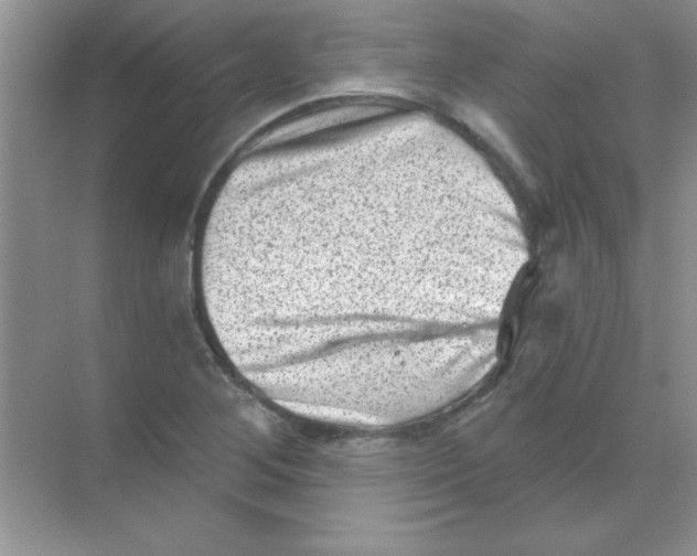 X0000068721268200605192244