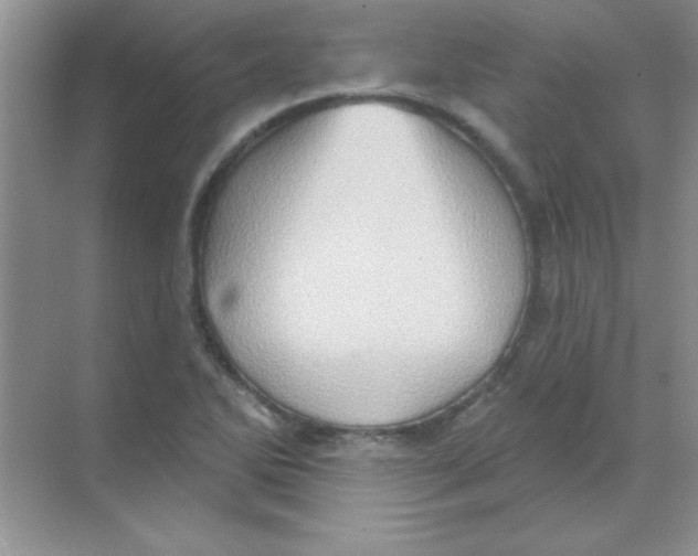 X0000068721270200605192244