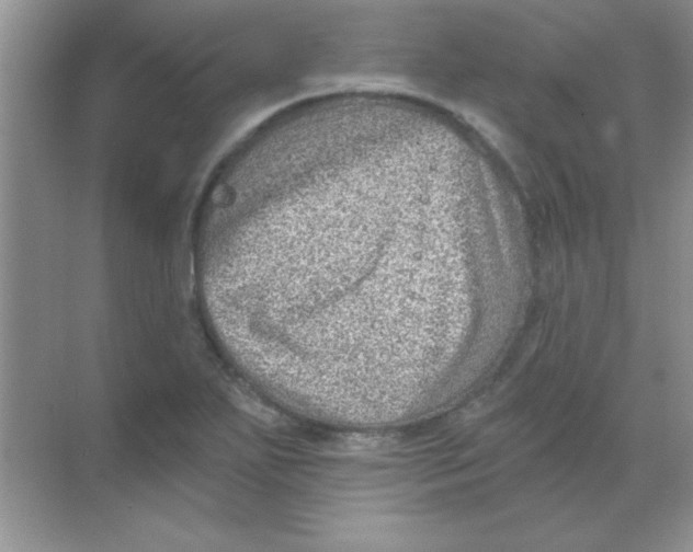 X0000068721271200605192244