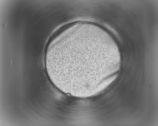 X0000068721272200605192244