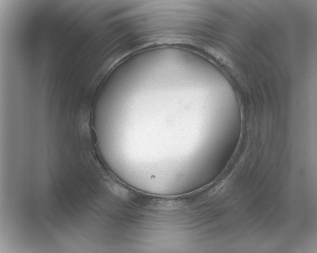 X0000068721273200605192244