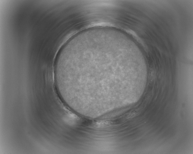 X0000068721274200605192244