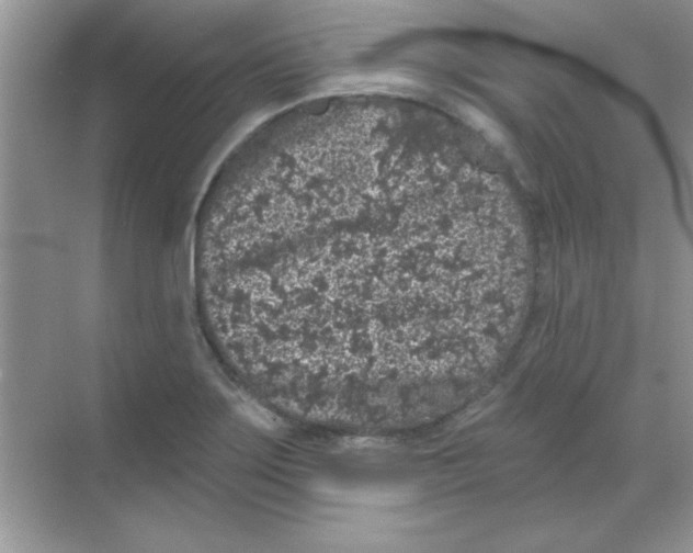 X0000068721275200605192244