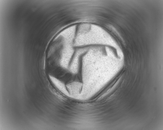 X0000068721276200605192244