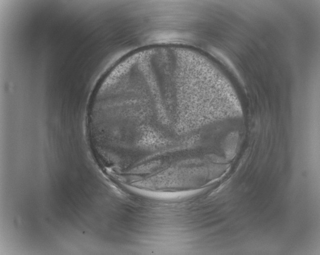 X0000068721277200605192244