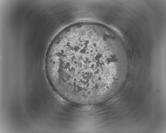 X0000068721279200605192244