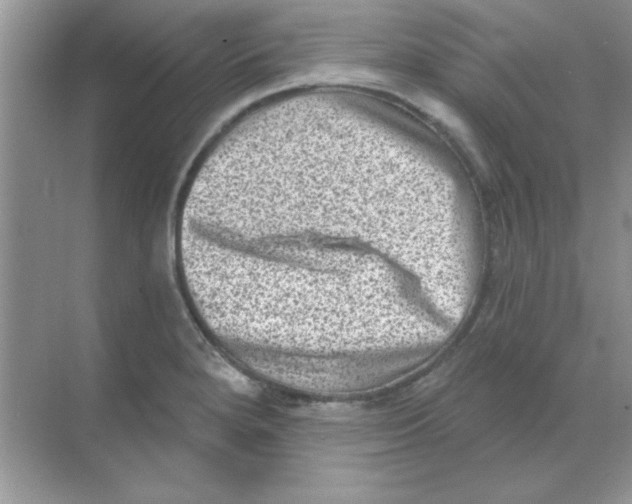 X0000068721280200605192244