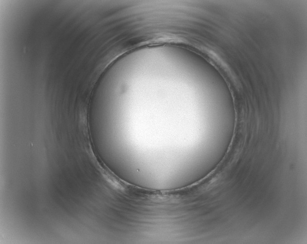 X0000068721281200605192244