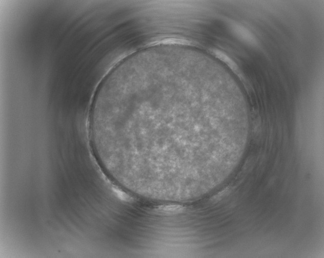 X0000068721282200605192244