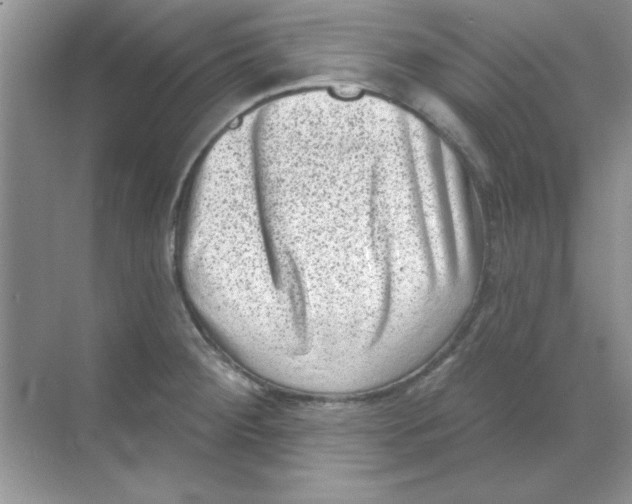 X0000068721284200605192244