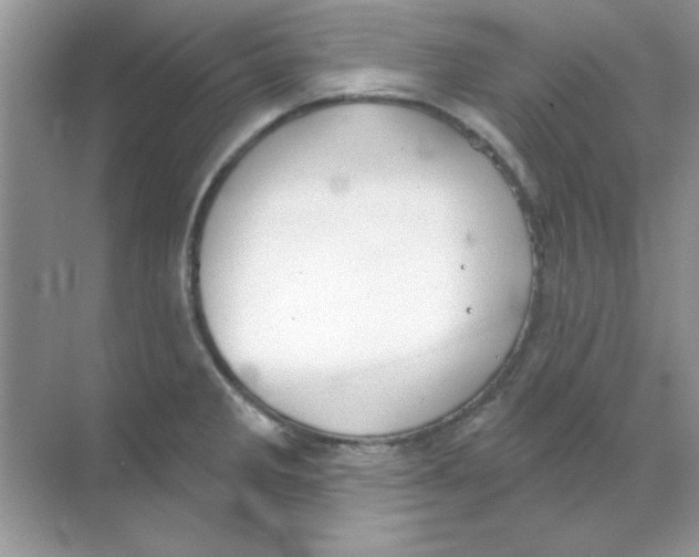 X0000068721285200605192244