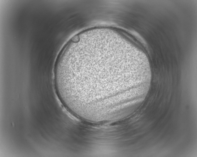 X0000068721287200605192244