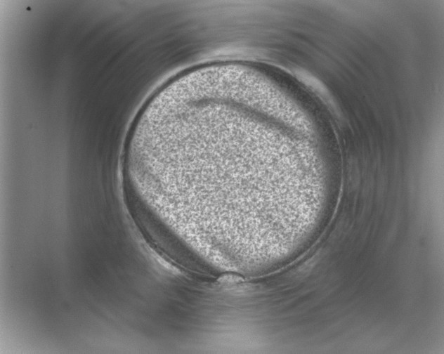 X0000068721288200605192244