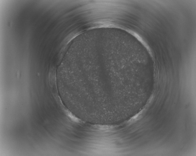 X0000068721289200605192243