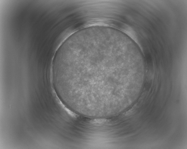 X0000068721290200605192243