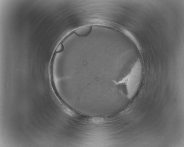 X0000068721291200605192243