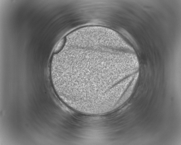 X0000068721292200605192243