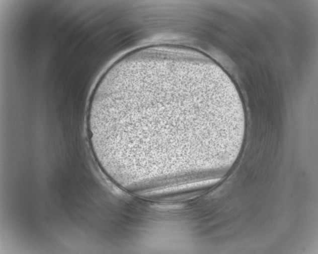 X0000068721296200605192243