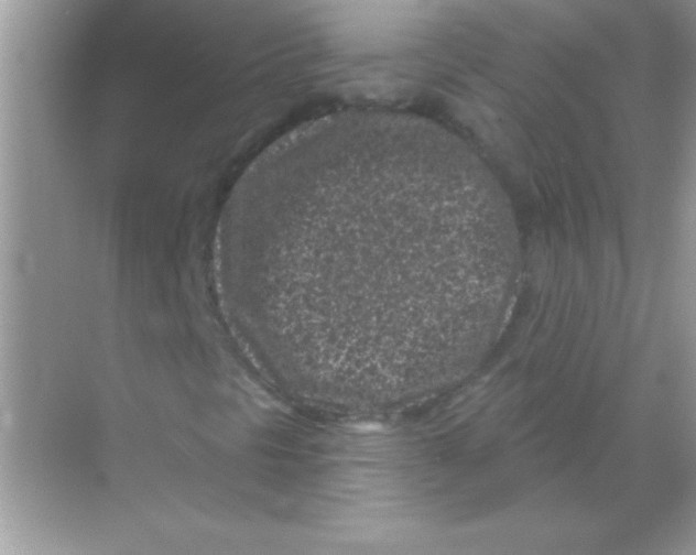 X0000068721297200605192243