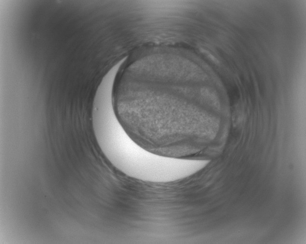 X0000068721298200605192243