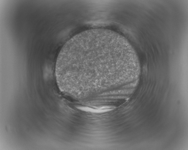 X0000068721300200605192243