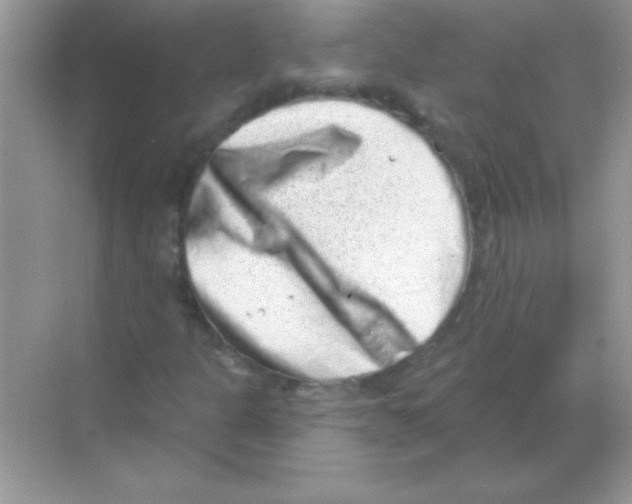 X0000068721301200605192243