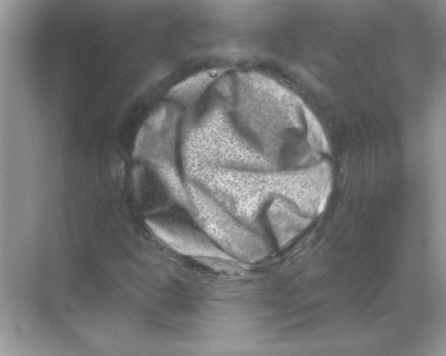 X0000068721302200605192243