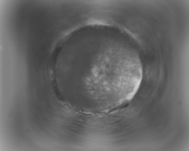 X0000068721303200605192243