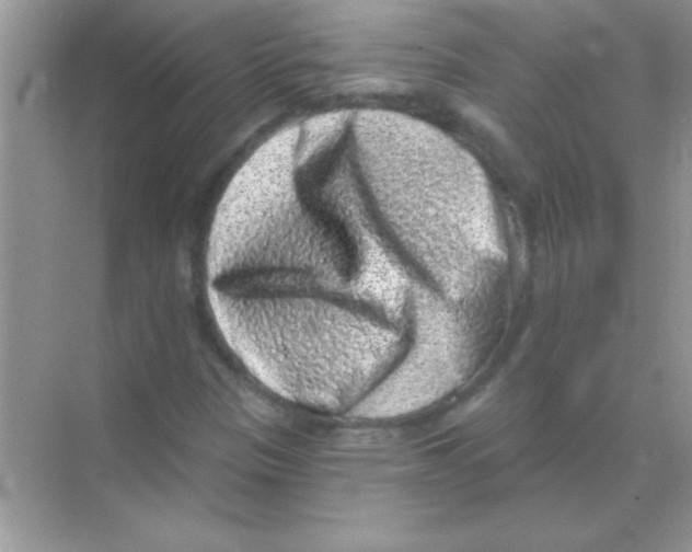 X0000068721305200605192243