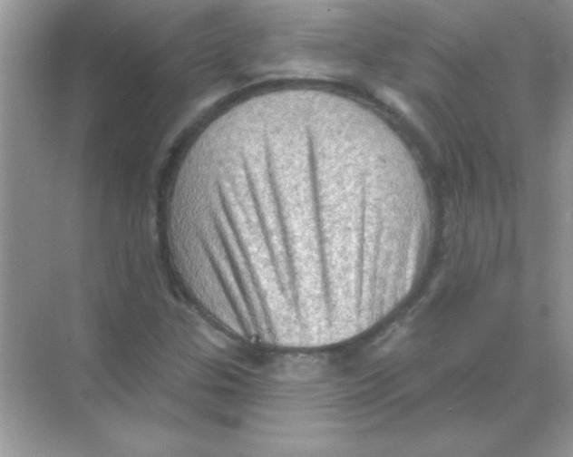 X0000068721307200605192243