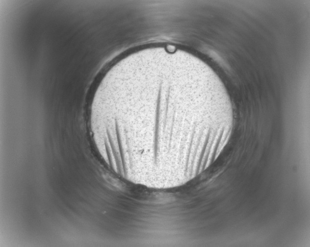 X0000068721308200605192243