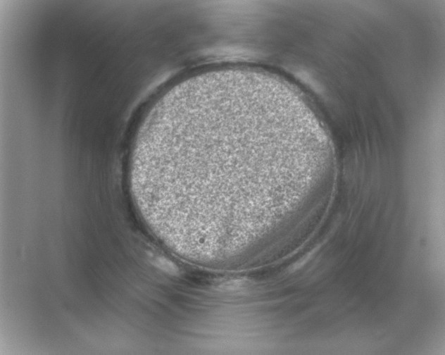 X0000068721309200605192243