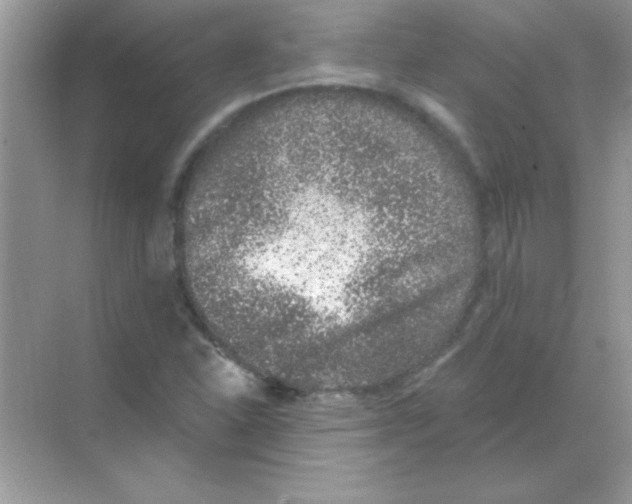 X0000068721310200605192243