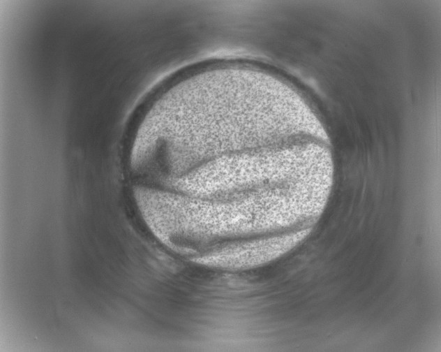 X0000068721311200605192243