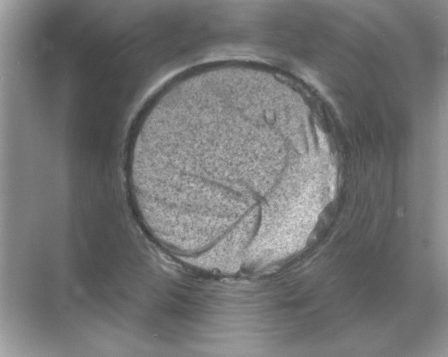 X0000068721312200605192243