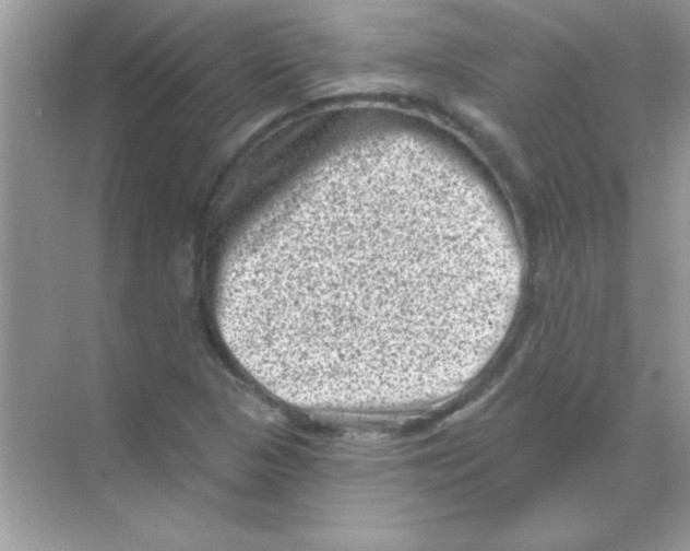 X0000068721313200605192243